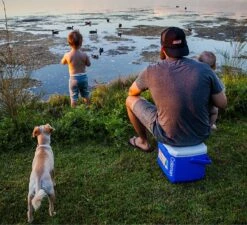 Coleman 16QT Performance Tricolor Koelbox - 15L - Blauw/Grijs 2 Coleman 16QT Performance Tricolor Koelbox - 15L - Blauw/Grijs -Outdoor Kampeeruitrusting Winkel 1200x1094