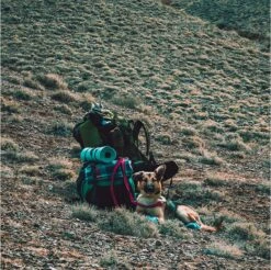 LOWLAND OUTDOOR® Donzen Slaapzak - Super Compact Blanket - 210 X 80 Cm - 590gr +8°C -Outdoor Kampeeruitrusting Winkel 1200x1196 16