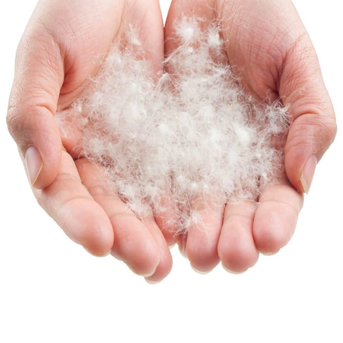 LOWLAND OUTDOOR® Donzen slaapzak - CC 1 - 200 x 80 cm - 1725 gr - 0°C - Katoen LOWLAND OUTDOOR® Donzen Slaapzak - CC 1 - 200 X 80 Cm - 1725 Gr - 0°C - Katoen -Outdoor Kampeeruitrusting Winkel 1200x1200 1003