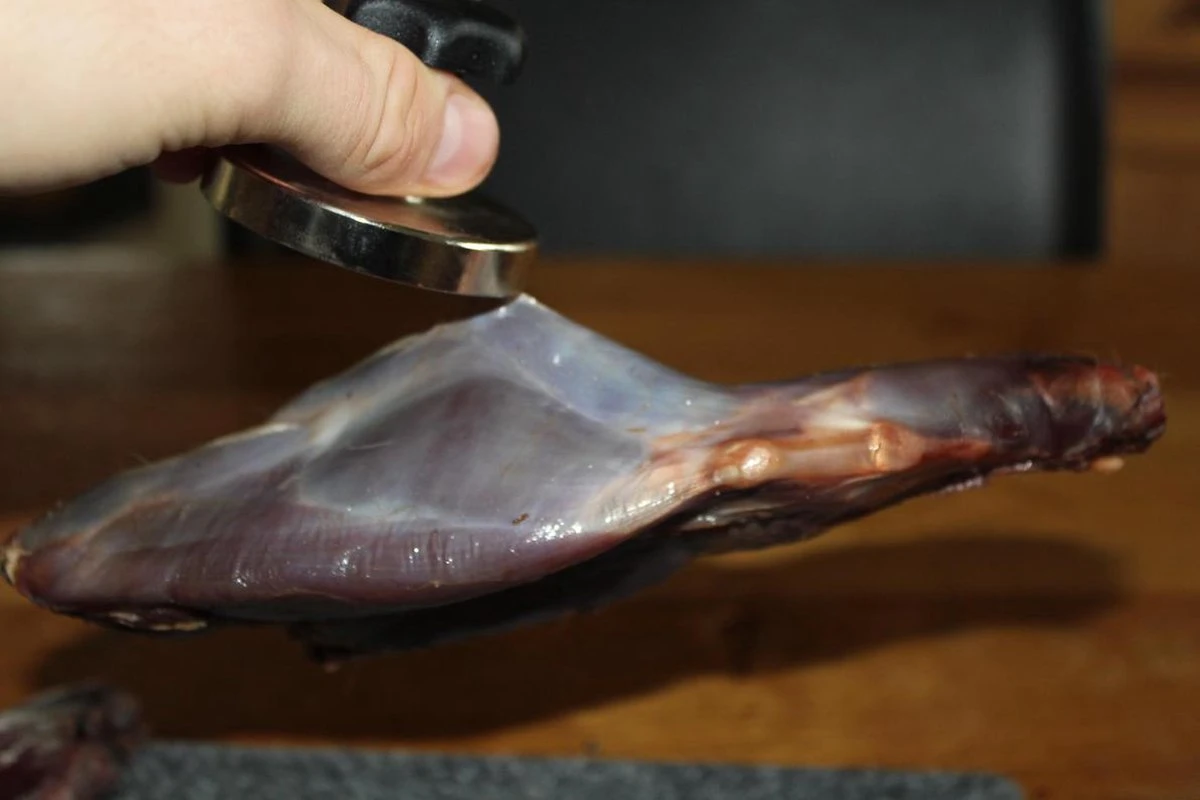 【JACHTMAGNEET / HAGELMAGNEET 】– Jacht accessoires 2020 – Hagel verwijderaar – Jagers cadeau - Wild magneet 【JACHTMAGNEET / HAGELMAGNEET 】– Jacht Accessoires 2020 – Hagel Verwijderaar – Jagers Cadeau - Wild Magneet -Outdoor Kampeeruitrusting Winkel 1200x800 39